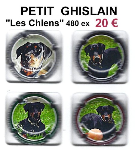Capsules champagne petit - ,