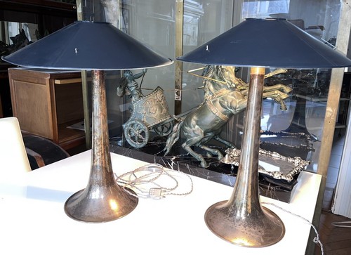 Paire lampes champignon - lampes,