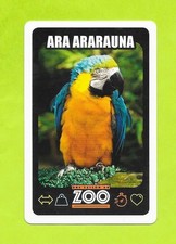 Carte Une saison au zoo - Ara ararauna