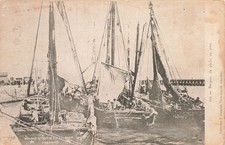 77 LE TREPORT BARQUES DE PECHE AU PORT