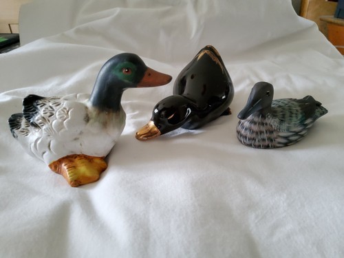 Collection canards lot - lot, de