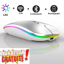 Souris Rechargeable RGB Sans