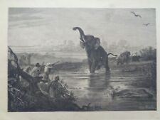 GRANDE GRAVURE ANCIENNE SUR