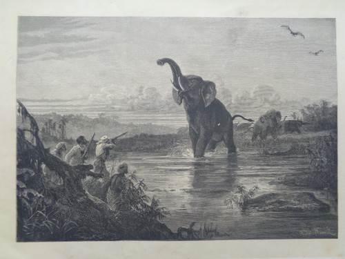 Grande gravure ancienne sur - grande,