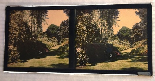 Autochrome vue stereo parc - vue,