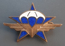 Insigne 1° RCP émail ANDOR