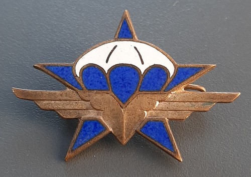 Insigne rcp émail - insigne, 1°