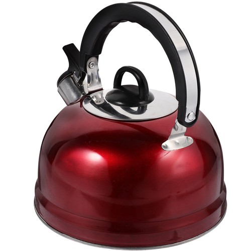 Bouilloire induction sifflante - bouilloire,