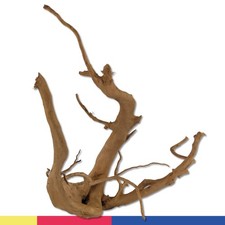 Déco D'Aquarium Wohnkult