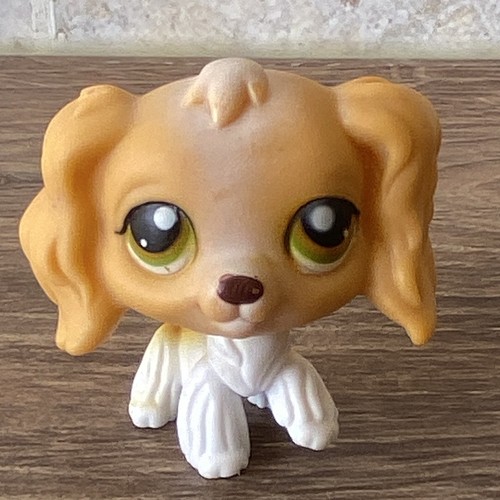 Lps pet shop littlest petshop - shop,