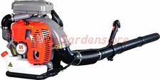 Souffleur À Dos À Essence 2