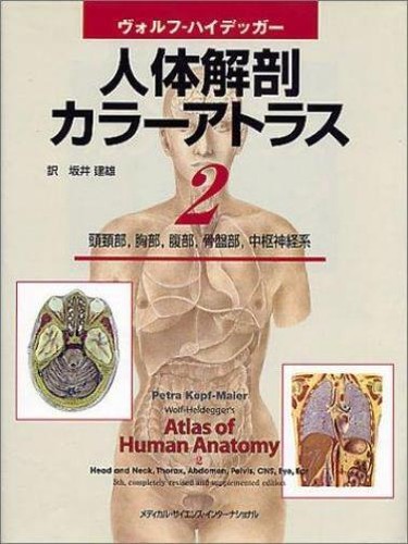 Atlas anatomie humaine - atlas, d'anatomie