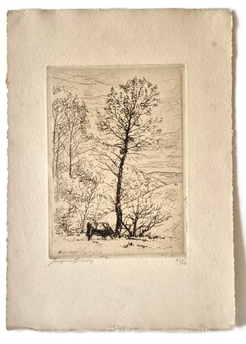 Jacques simon gravures - simon, eau