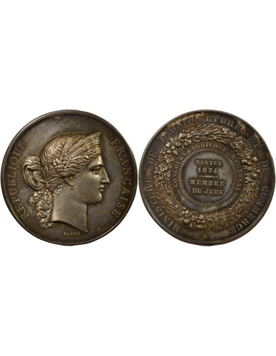 France médaille argent - france,