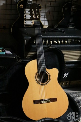 Alberto canto cutaway thinline - canto,