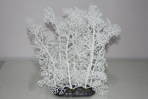 Aquarium blanc corail - aquarium, fougère