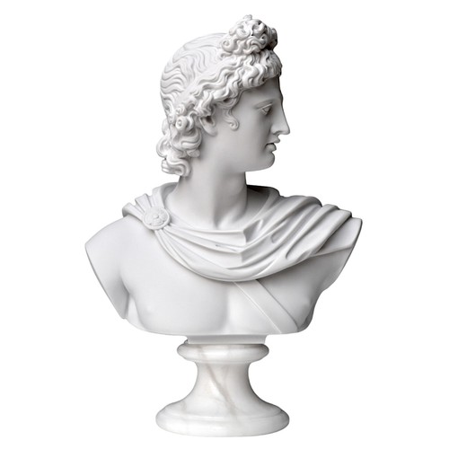 Buste apollo belvedere - buste,