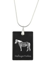 Haflinger Poulain - Crystal