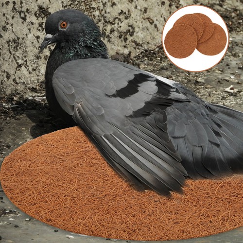Pcs nid de pigeon - ,