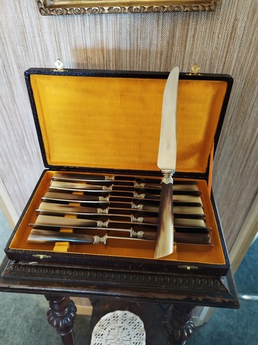 Couteaux table manches - 12,