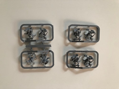 Archers skinks sur - 2, x