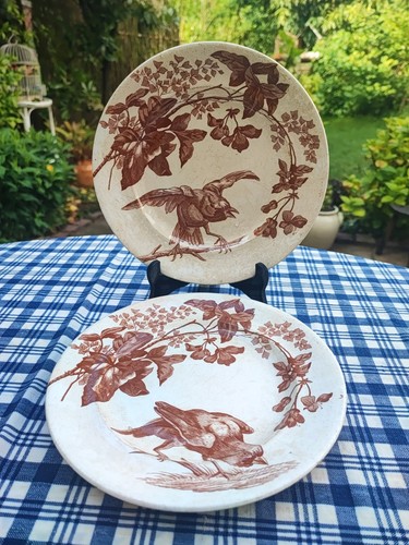 Assiettes anciennes faience - ,