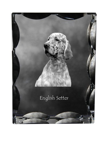 Setter anglais cristal avec - setter,