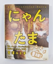 Livre photo japonais boules à