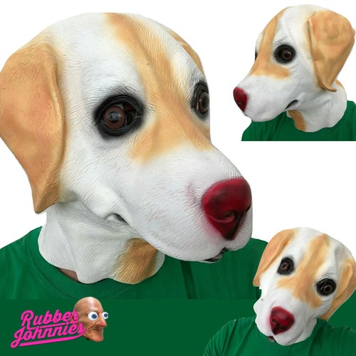 Labrador golden chien - chien, masque