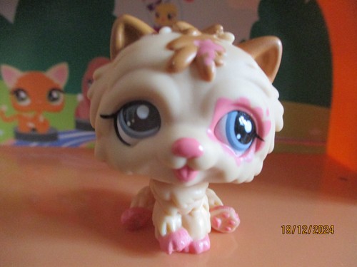 Petshop chien chow - petshop,