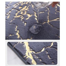 Tapis Absorbant pour Salle de