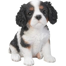 Vivid Arts Cavalier King