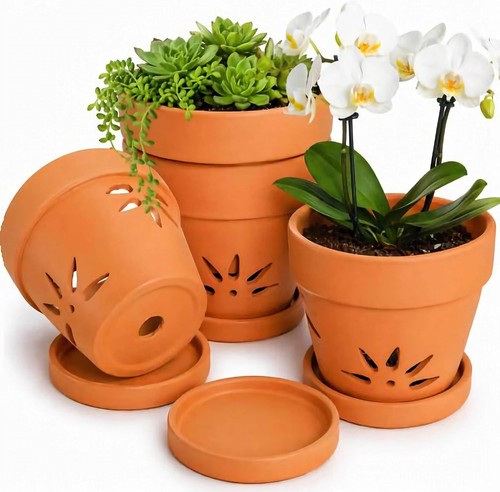 Pack inch orchid pots - pack,