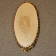 Bouleau Daim Af 31 CM Cerf