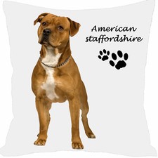 coussin chien american staff