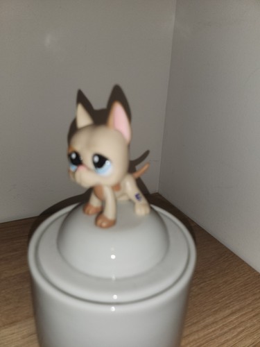 Authentic lps littlest petshop - authentic,