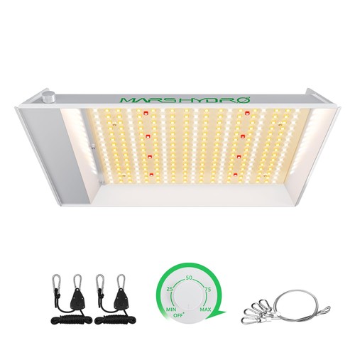 Ts600 lampe culture - lampe, de