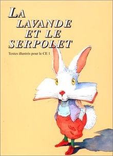 Lavande le serpolet - lavande,