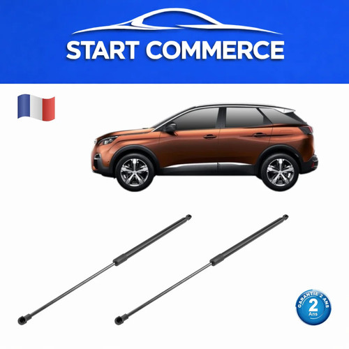 Vérins coffre pour - 2x, de