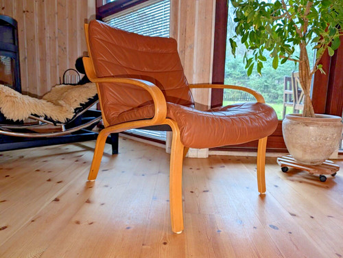 Chaise salon vintage 60er - salon,