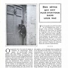 Des bêtes qui ont plus d'un