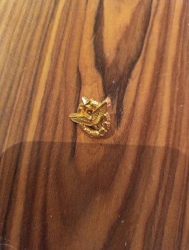 Pin brevet pilote armée - pin's,