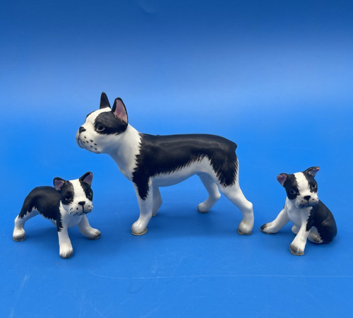 Vintage boston terrier - vintage,
