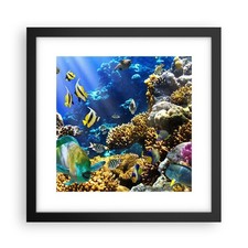Affiche Poster 30x30cm