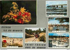 Carte Postale - 17 - Ile