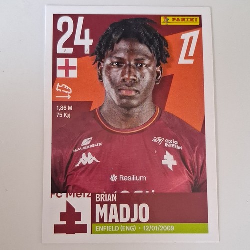 Brian madjo panini foot - panini,