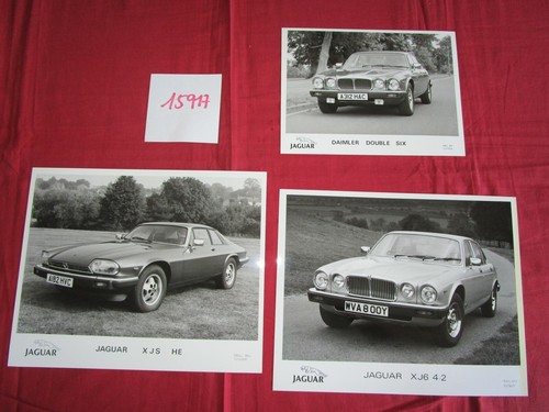15917 jaguar 3 photos - :,