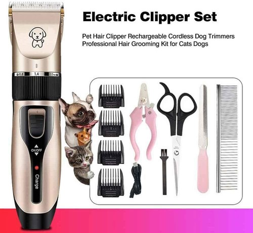 Dog grooming clippers low - dog,