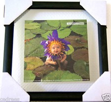 tableau cadre ANNE GEDDES