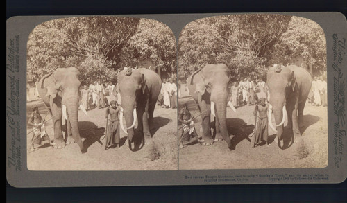 Sri lanka deux - lanka, (ceylon),